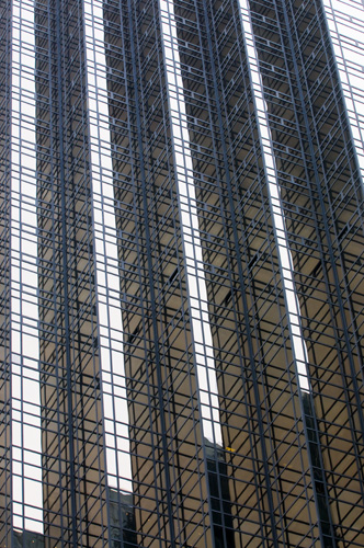 04 nikon d300 2009 1594