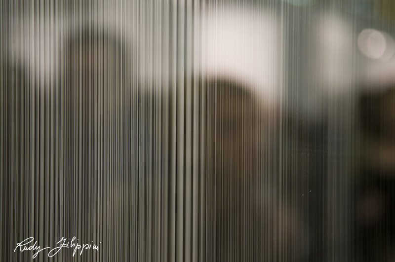 04 nikon d300 2011 0116