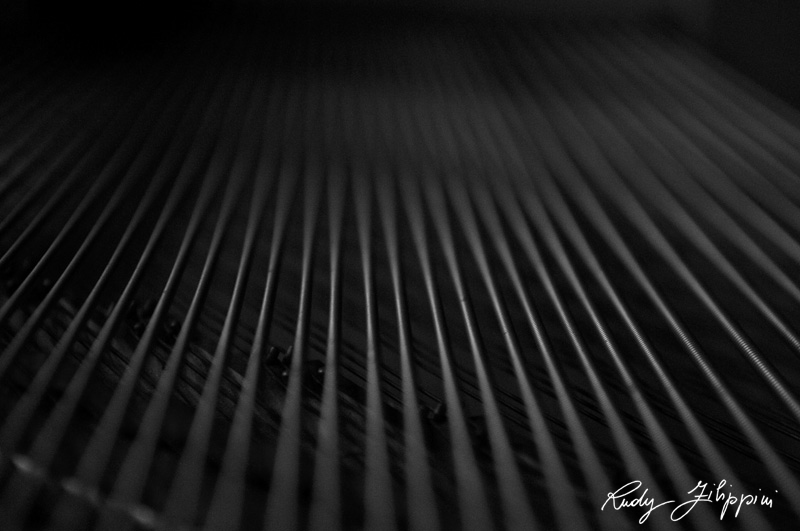05 nikon d300 2009 2779