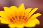 10 nikon d300 2011 2875