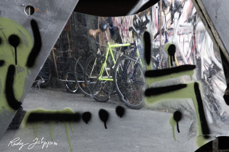 02 nikon d300 2011 2126