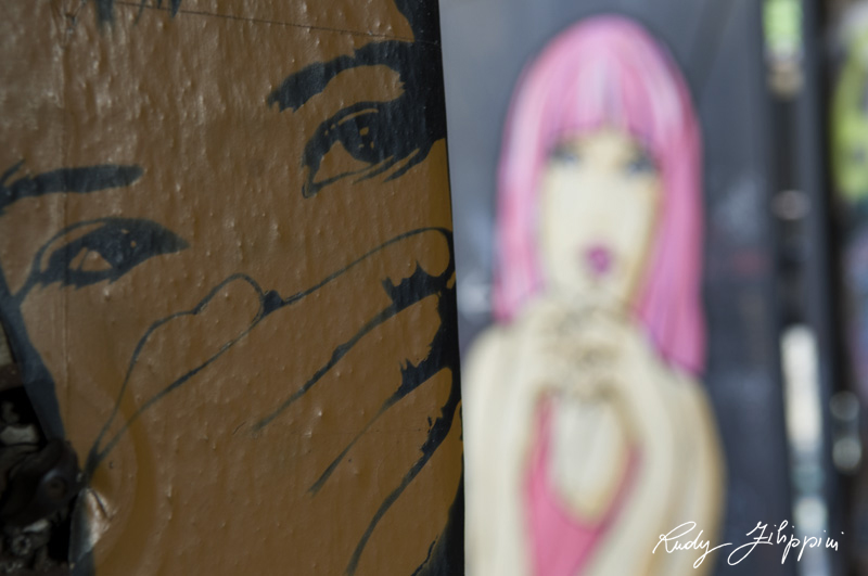 06 nikon d300 2011 2174