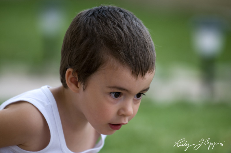 04 nikon d300 2009 0111