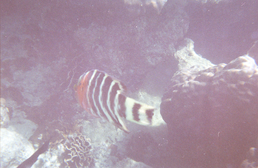 neg 00122